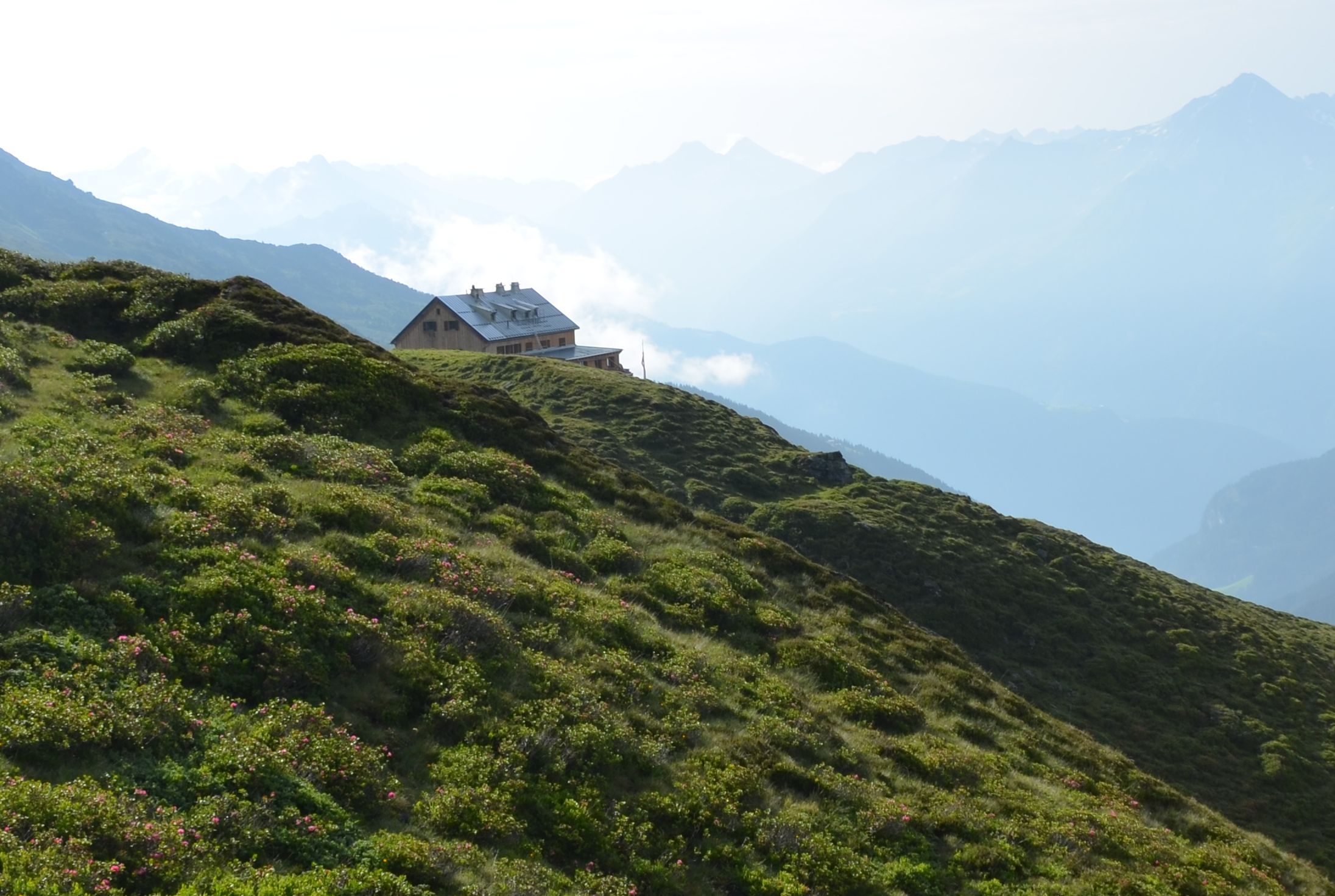 Rastkogelhütte in Hippach, Tirol